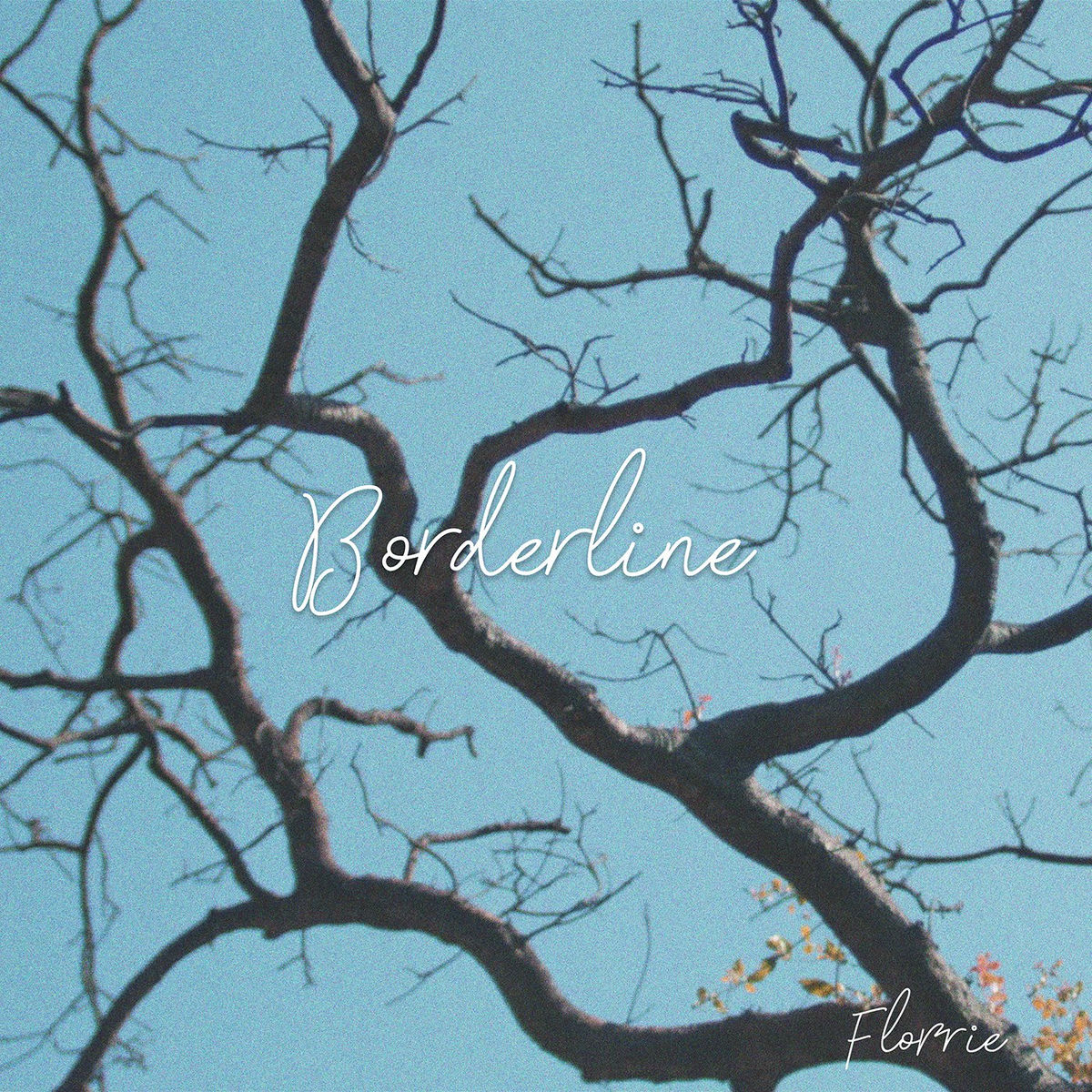 Album cover of Borderline