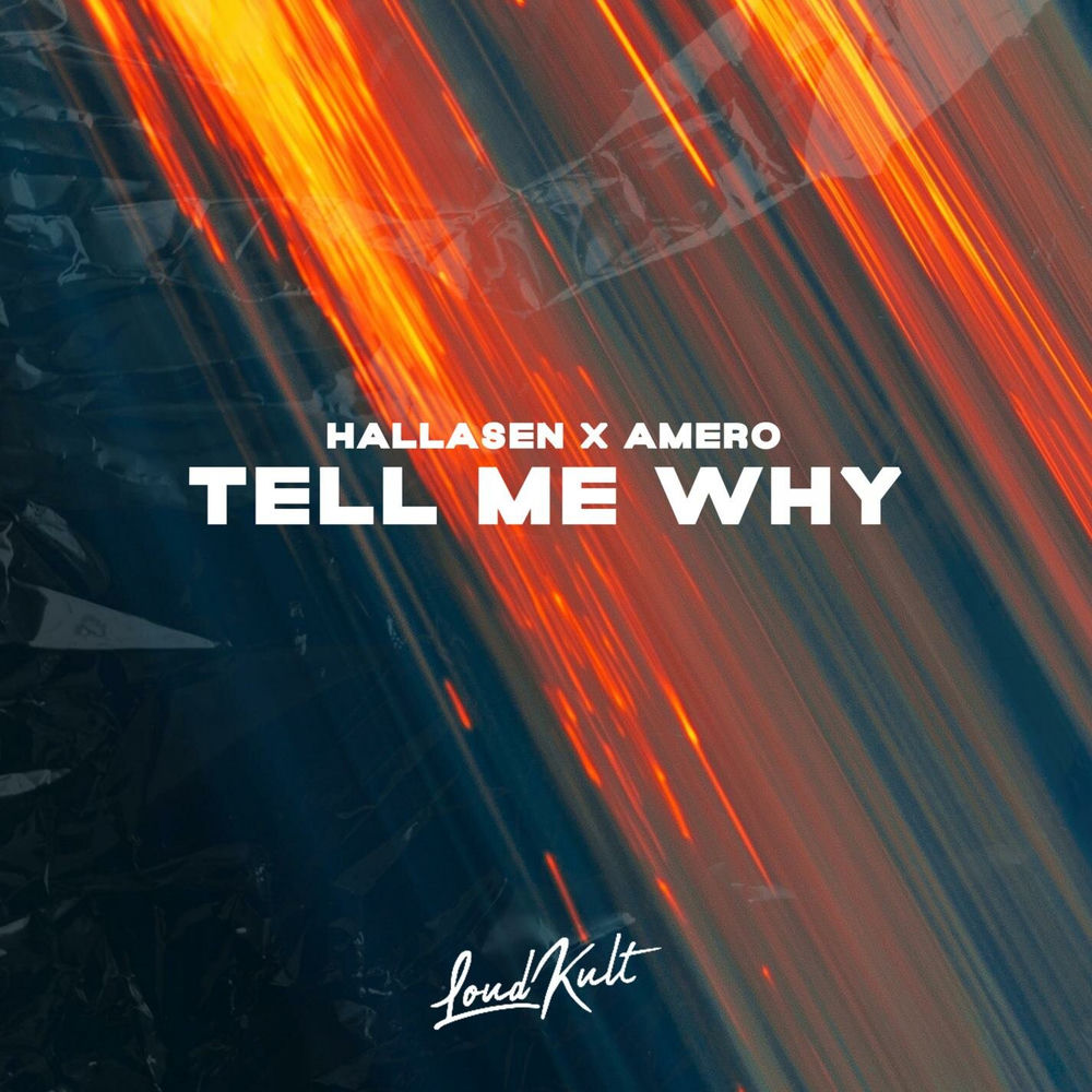 Album artwork for Tell Me Why by AMEROL