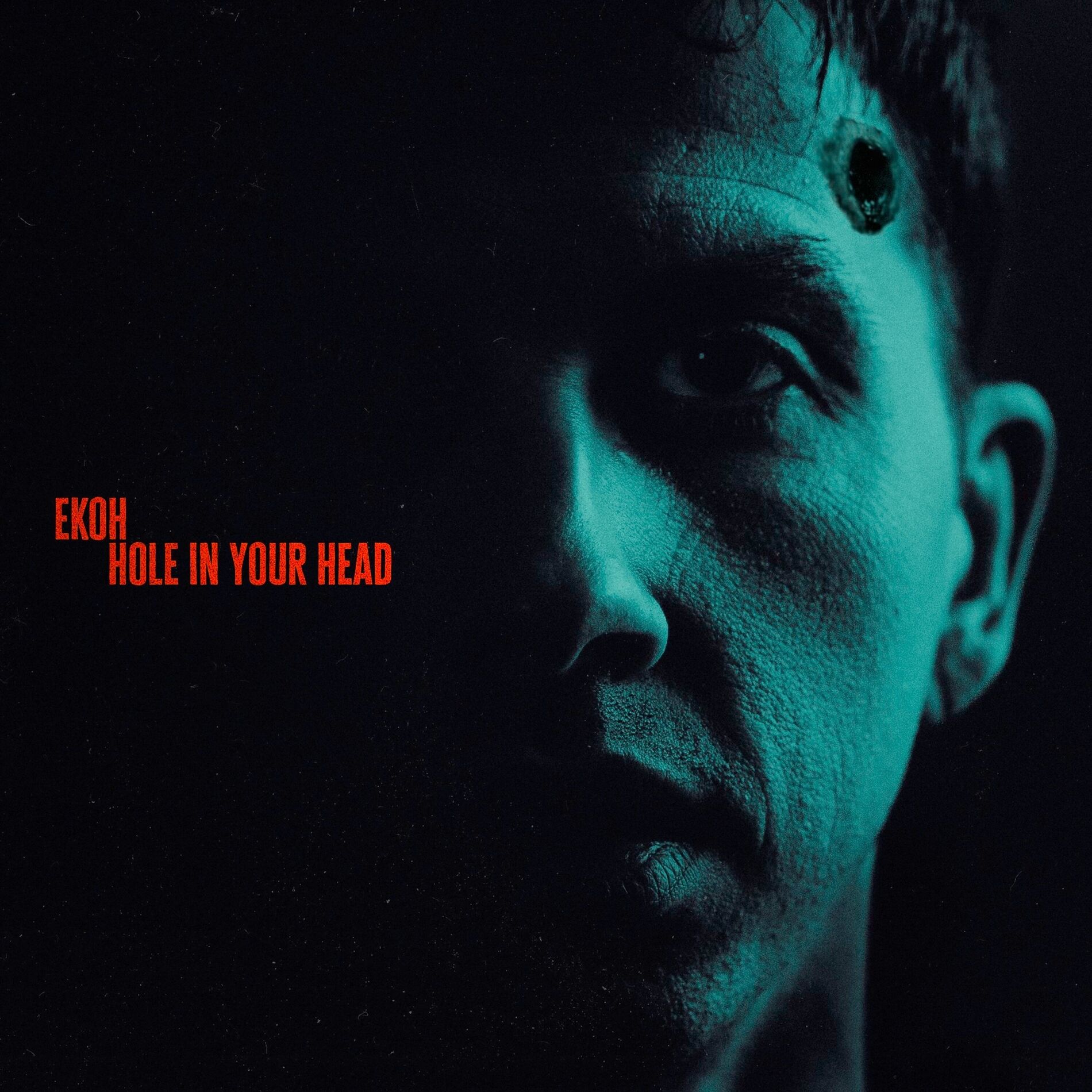 Album cover of Hole In Your Head