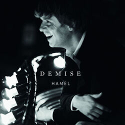 Cover of Wouter Hamel - Demise (radio Edit) (MP3 Single)
