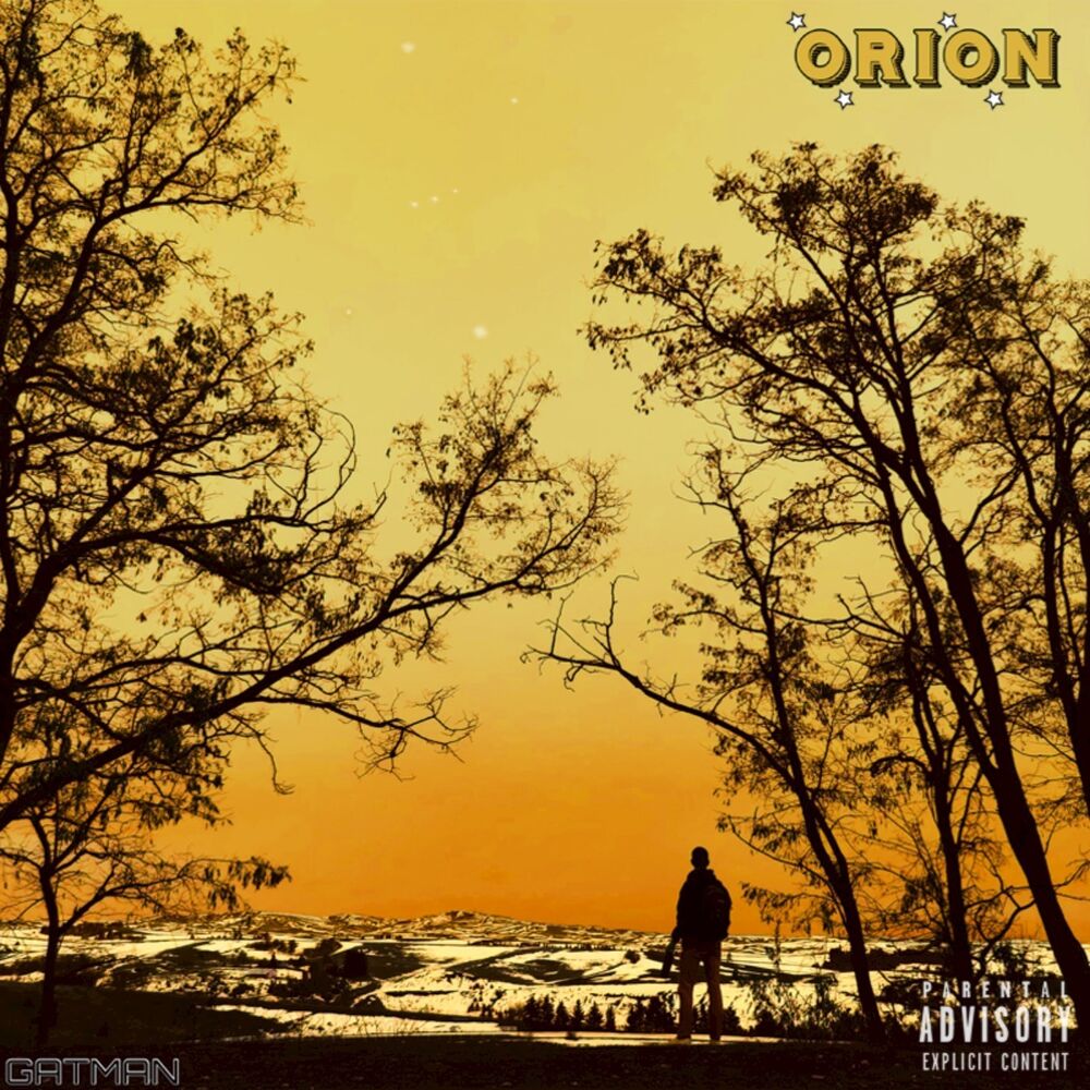 Picture of ORION