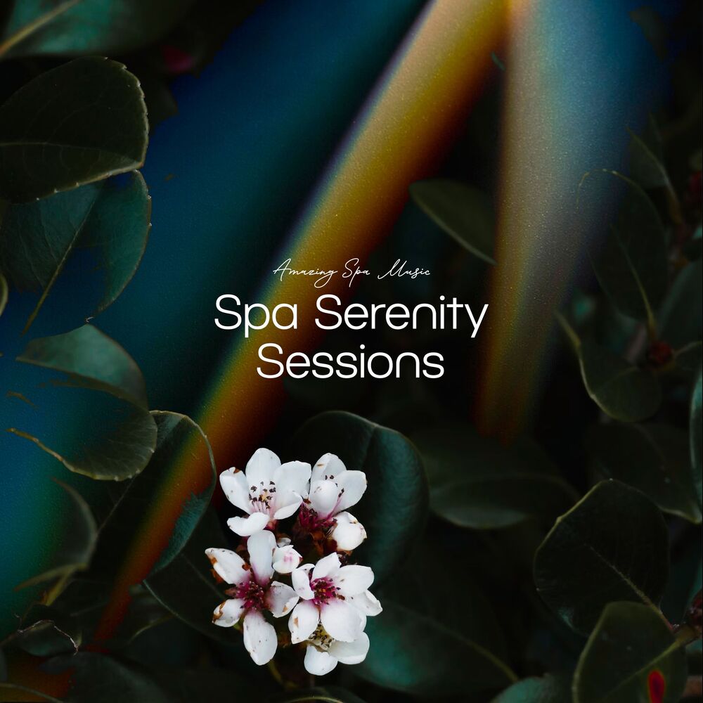 Picture of Spa Serenity Sessions