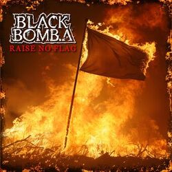 Cover of Raise no flag