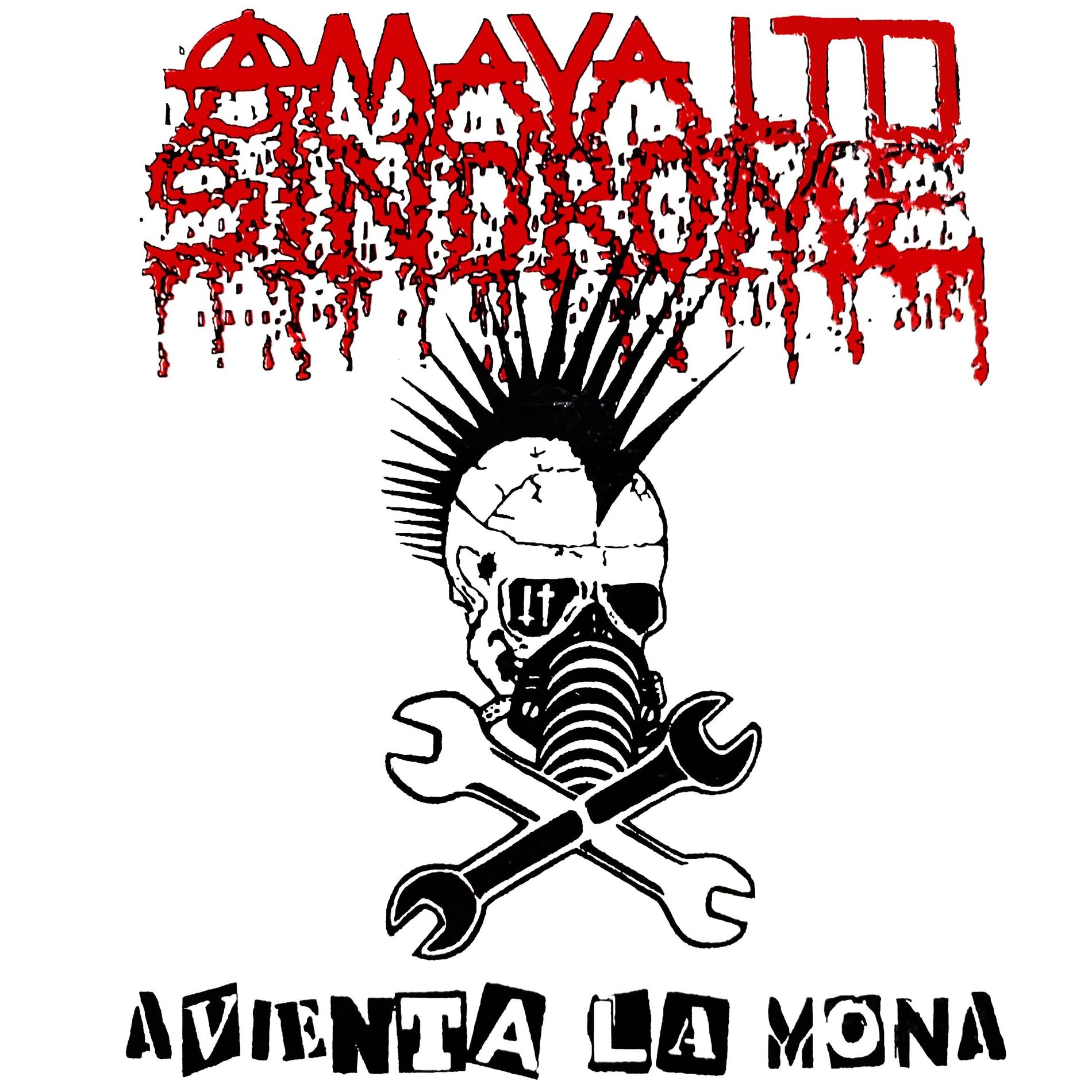 Album cover of AVIENTA LA MONA