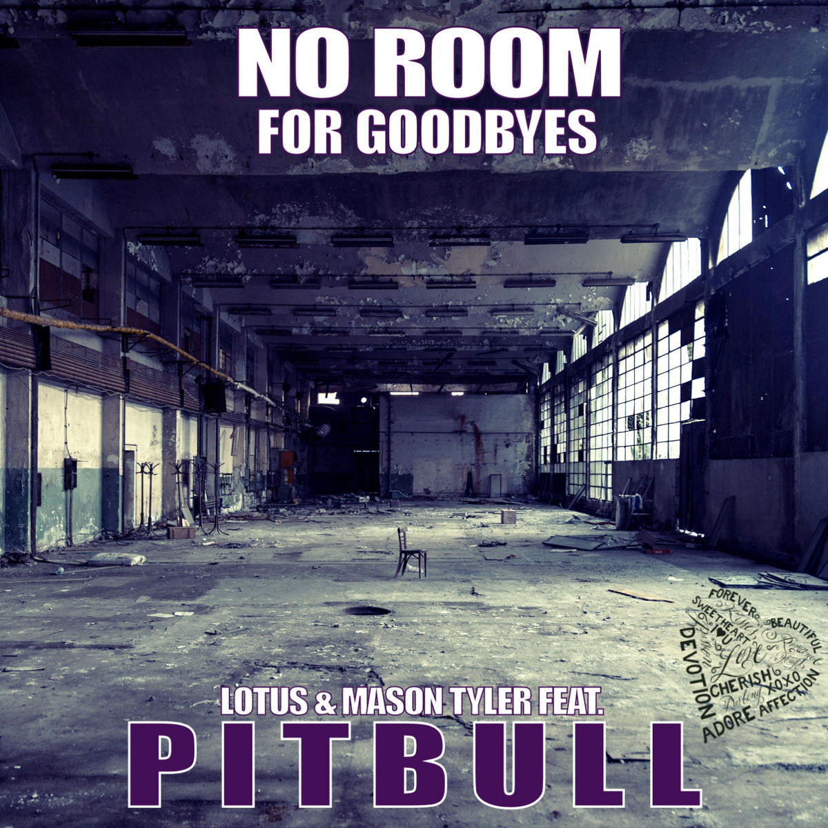 Album cover of No Room for Goodbye