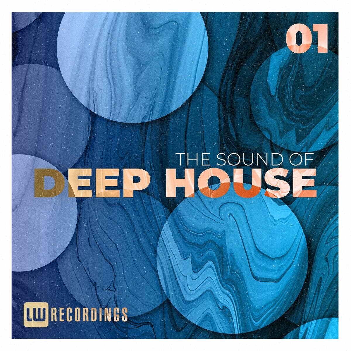 Album cover of The Sound Of Deep House, Vol. 01