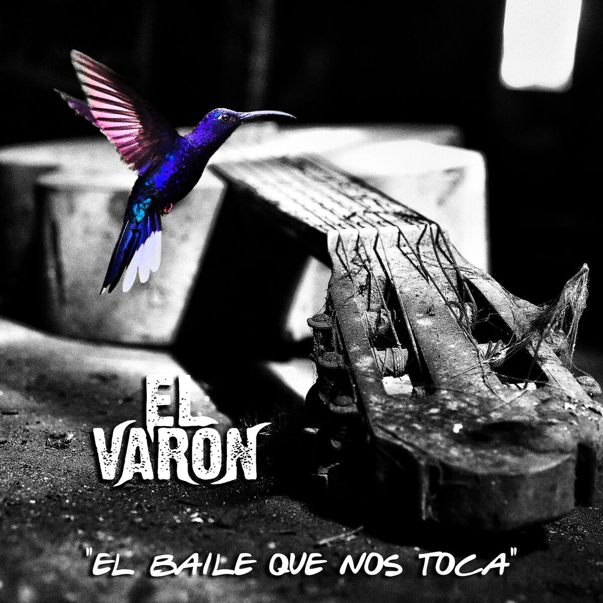 Album cover of El baile que nos toca