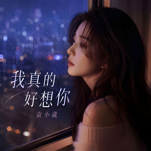 我真的好想你