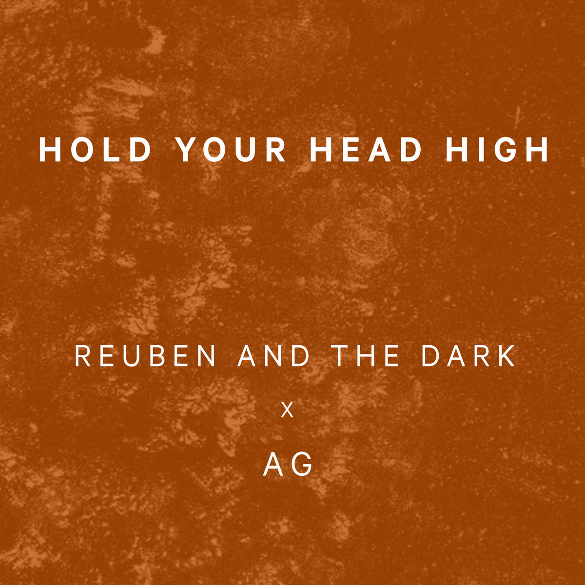 Album cover of Hold Your Head High