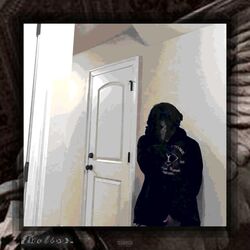Cover of Seventeen Dying