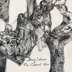Cover of Becca Stevens & The Secret Trio