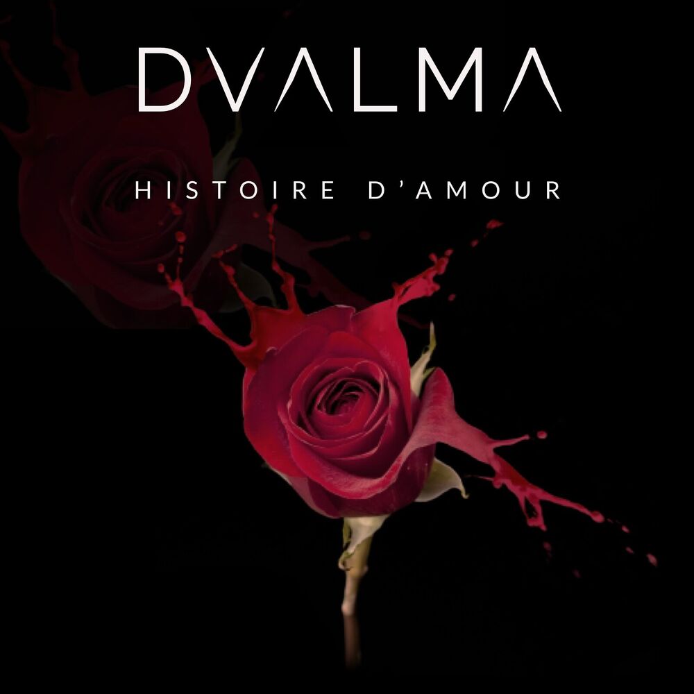 Picture of HISTOIRE D'AMOUR