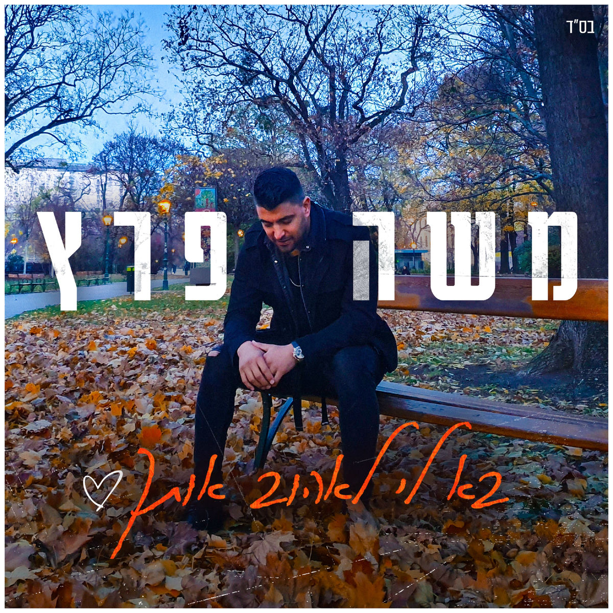 Album cover of בא לי לאהוב אותך