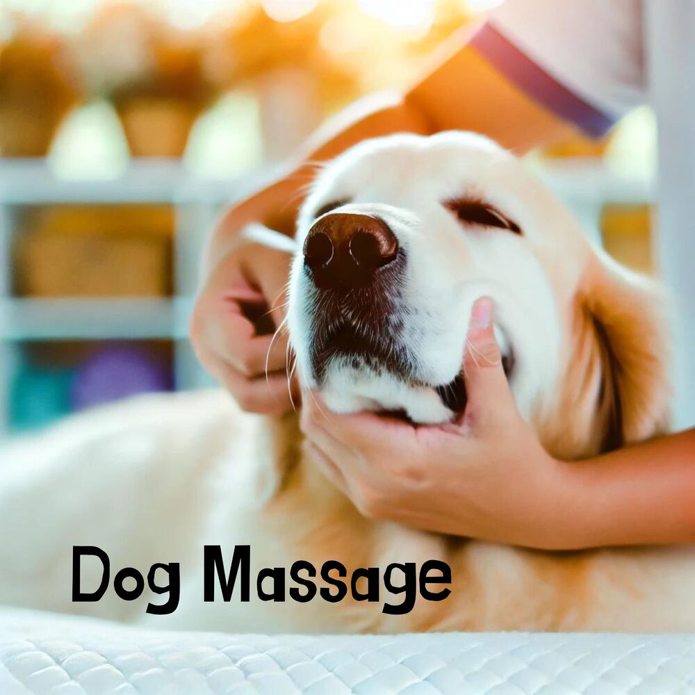 Picture of Dog Massage: Pawsitive Pain Relief