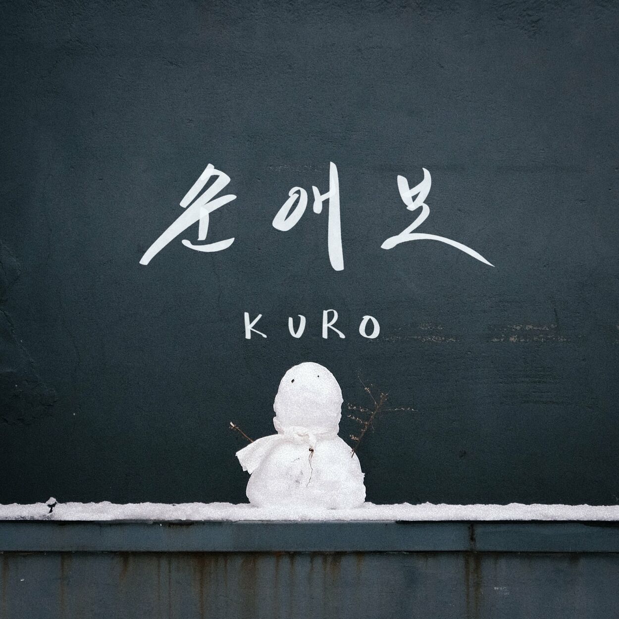 Kuro – my yellow tulip – Single