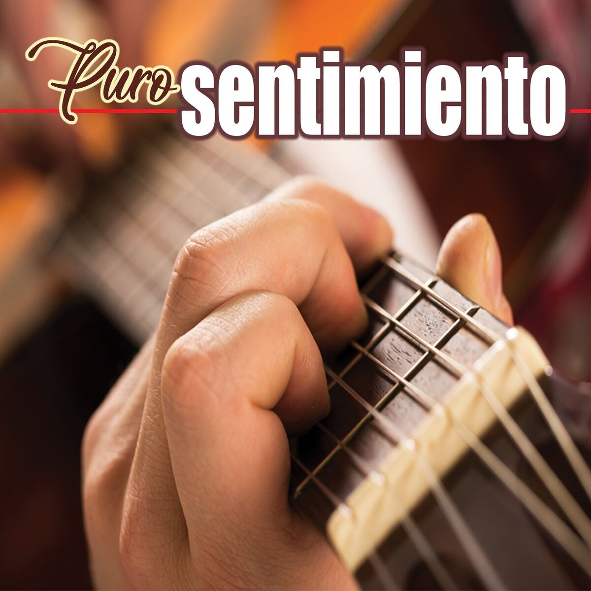 Album cover of Puro Sentimiento