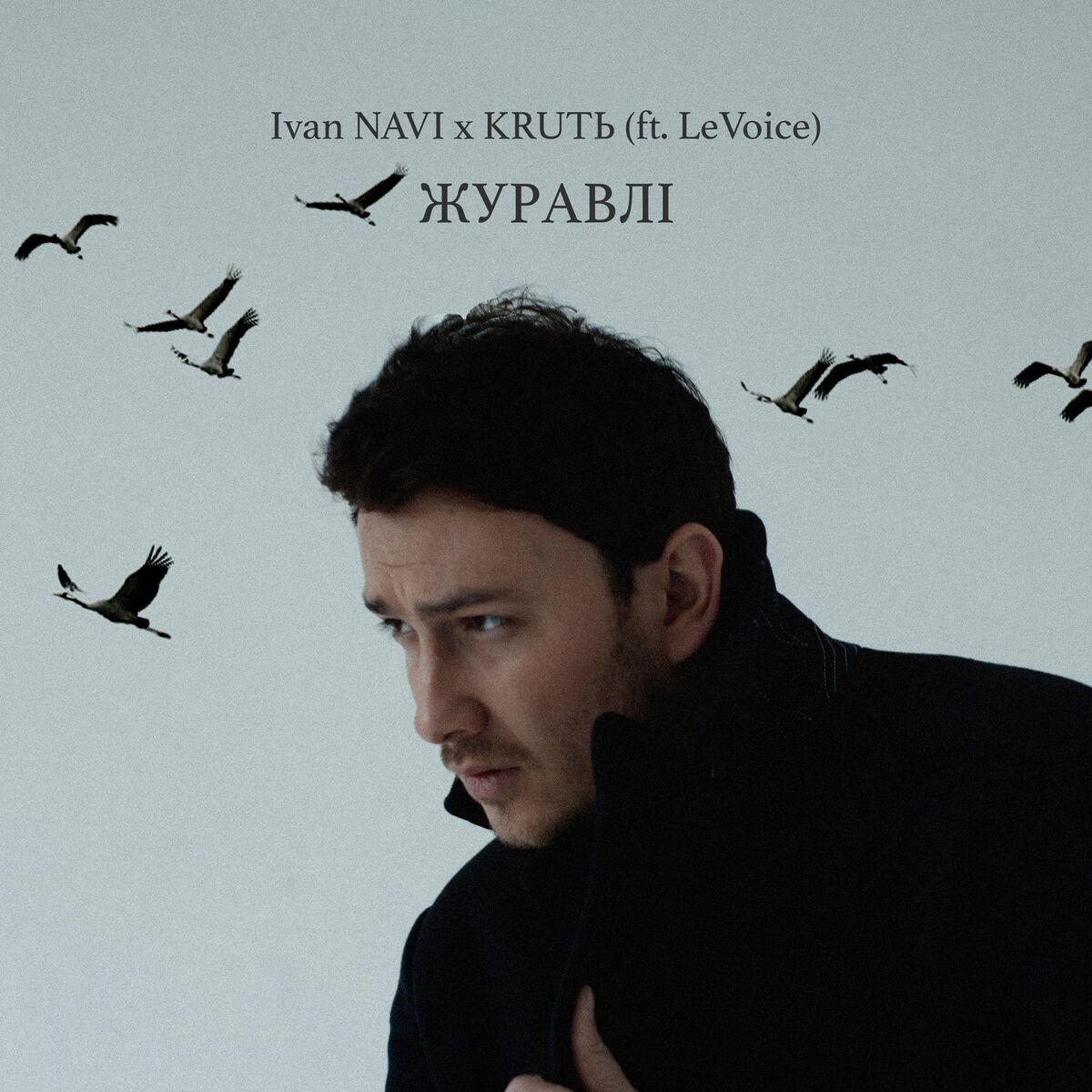 Album cover of Журавлі