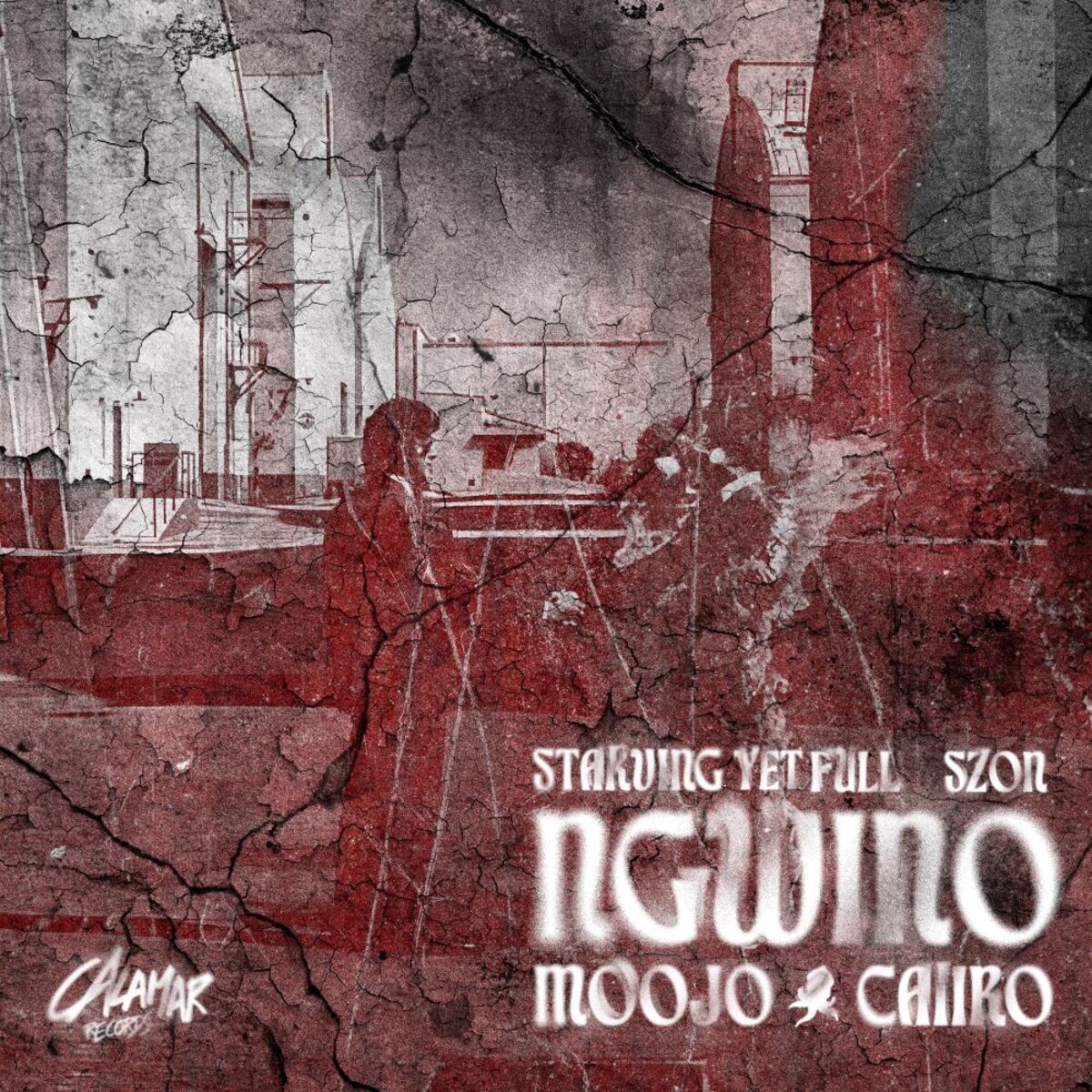 Album cover of NGWINO