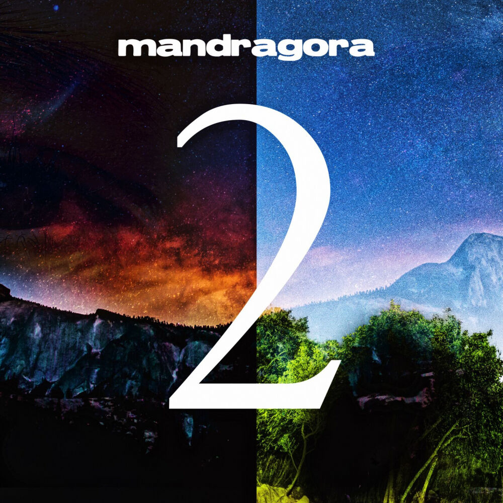 Picture of Disc 2