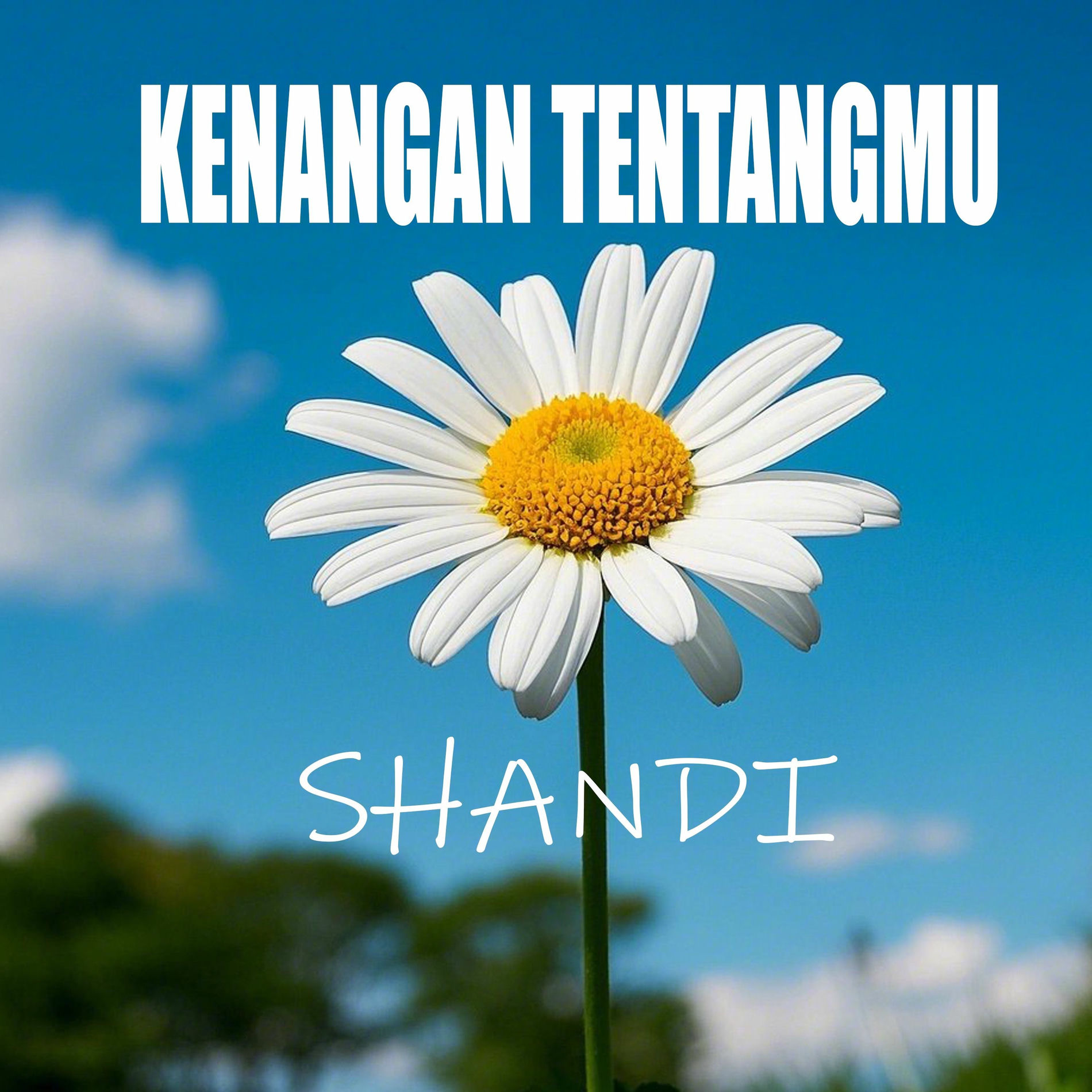 Album cover of KENANGAN TENTANGMU