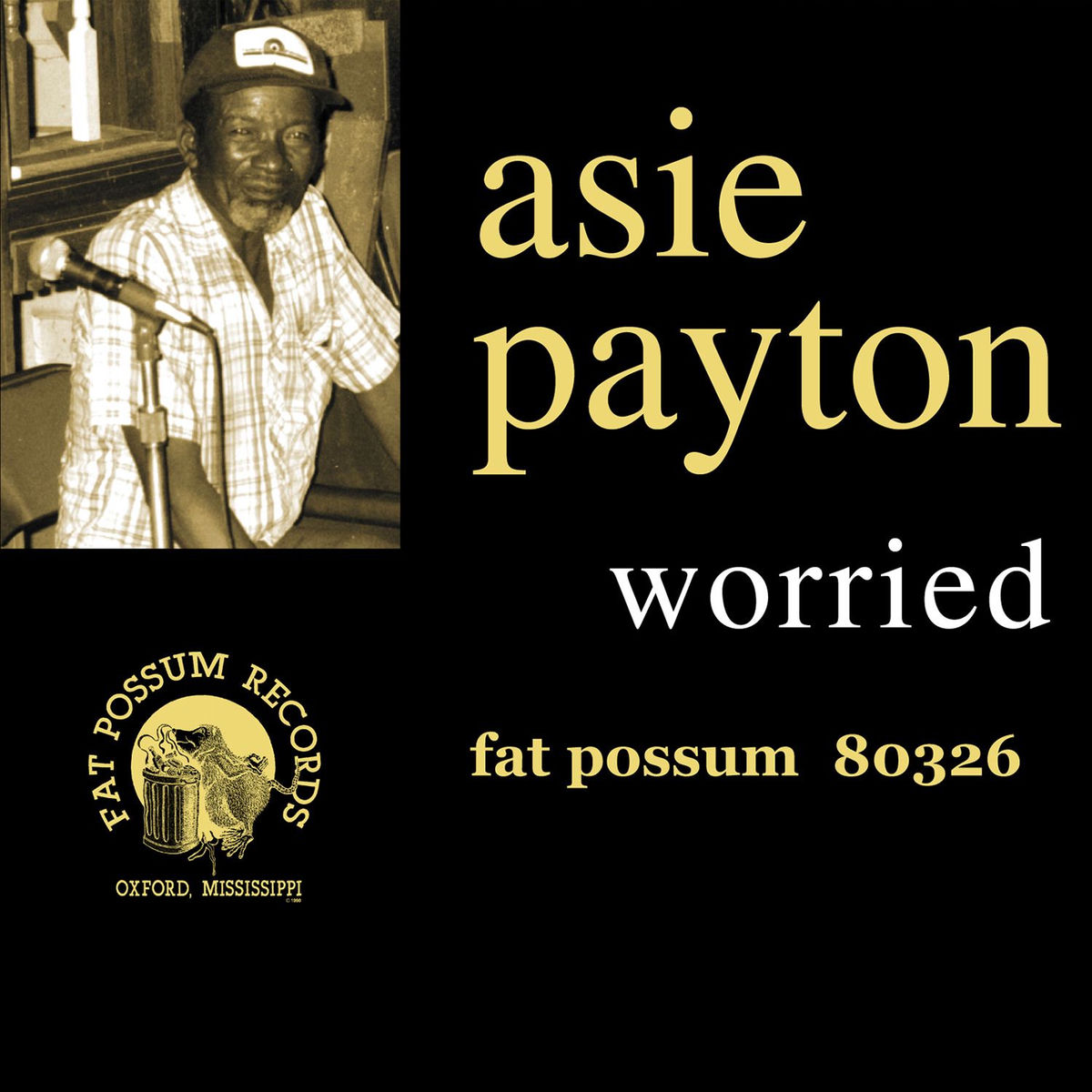 Album cover of Worried