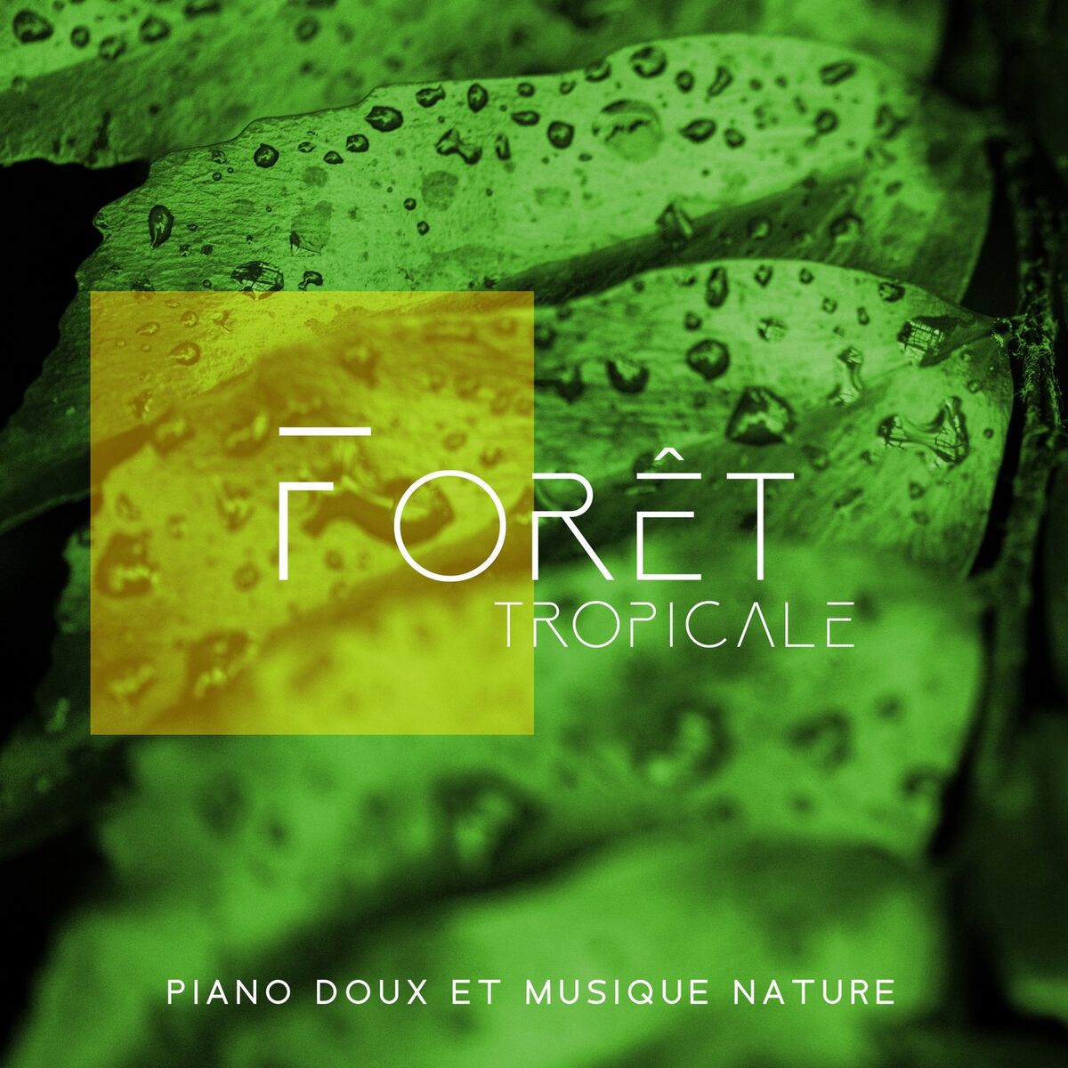 Album cover of Forêt tropicale: Piano doux et musique nature – Zen musique de relaxation profonde pour détente, Méditation, Spa, Yoga, Bien-être 