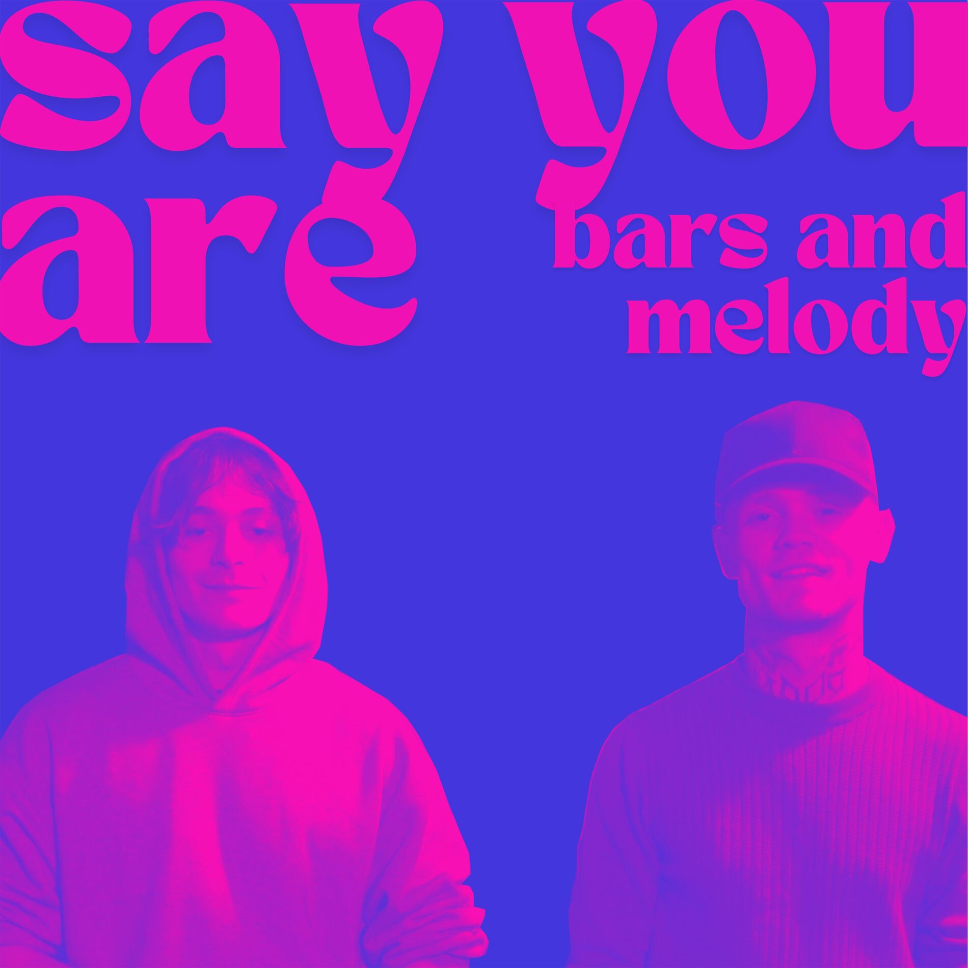 Album cover of Say You Are