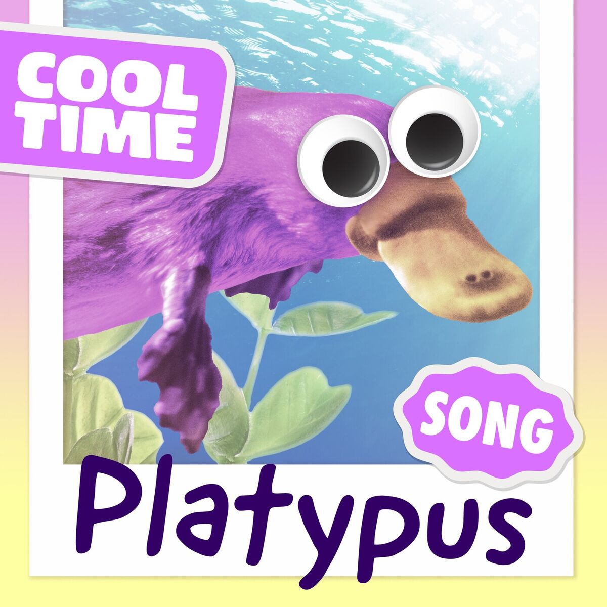 Album cover of Platypus Song