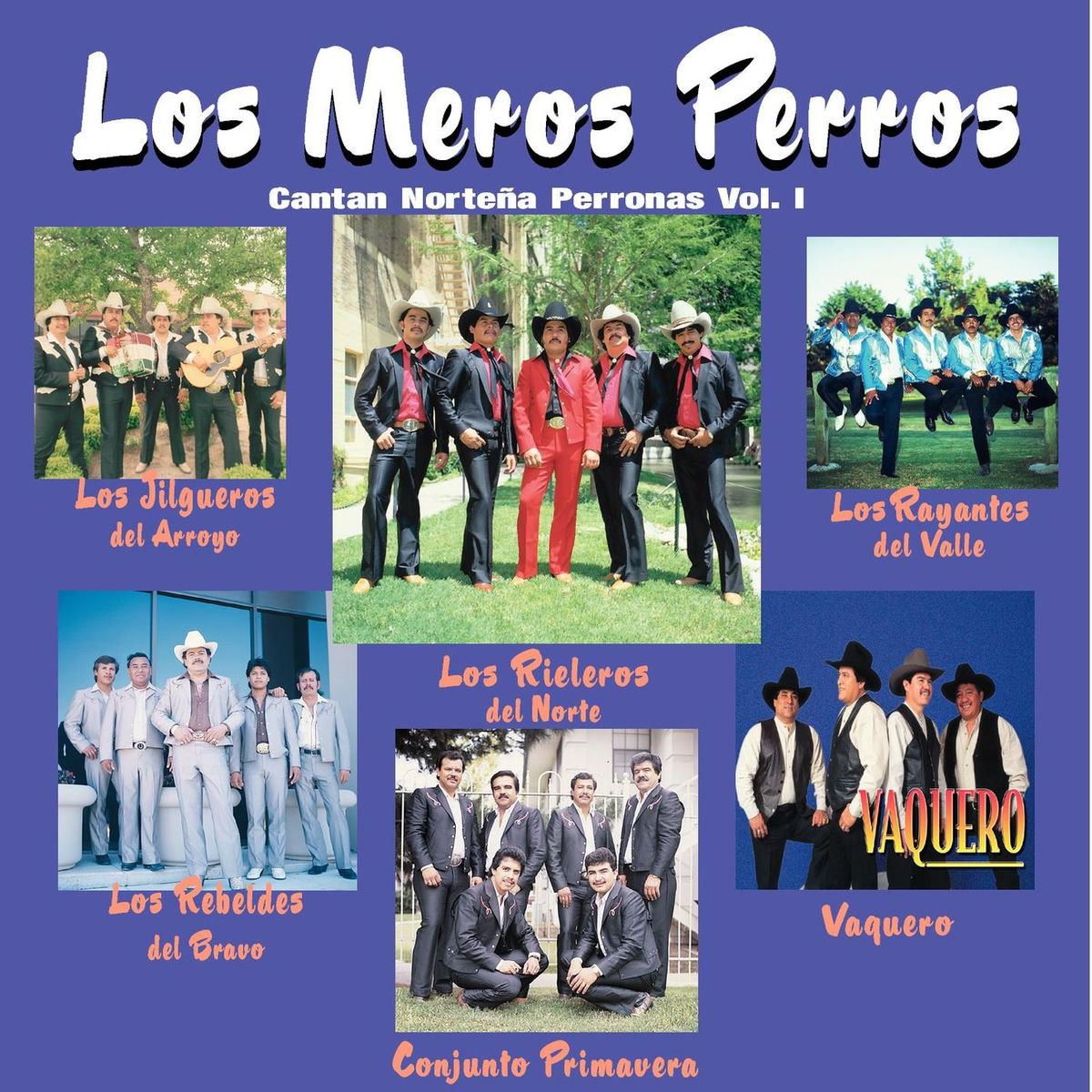Album cover of Cantan Nortenas Perronas Vol.1