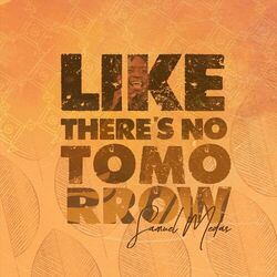 Cover of Like There's No Tomorrow