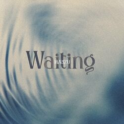 Cover of Waiting