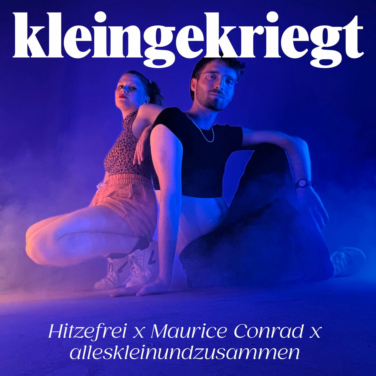 Album cover of kleingekriegt