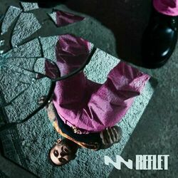 Cover of Reflet