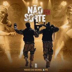 Cover of Não Foi Sorte