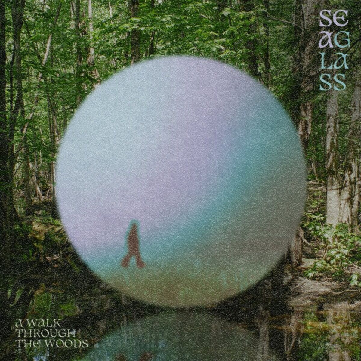 Album cover of A Walk Through the Woods