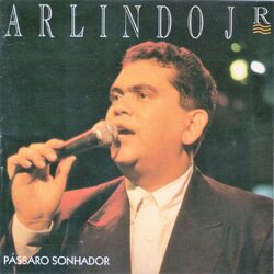 Cover of Pássaro Sonhador