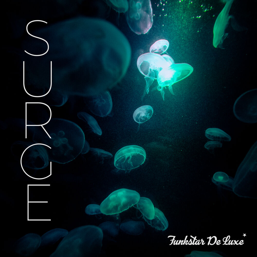 Picture of Surge