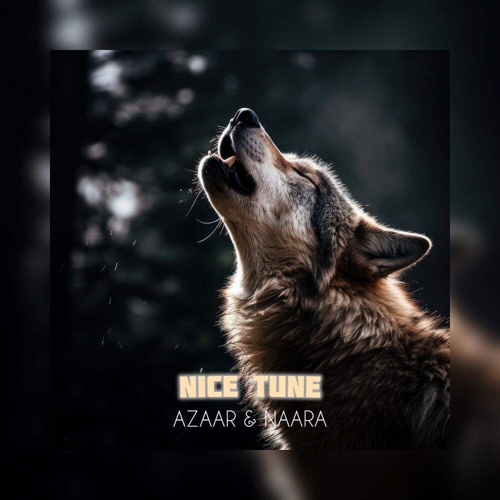 Picture of Nice Tune