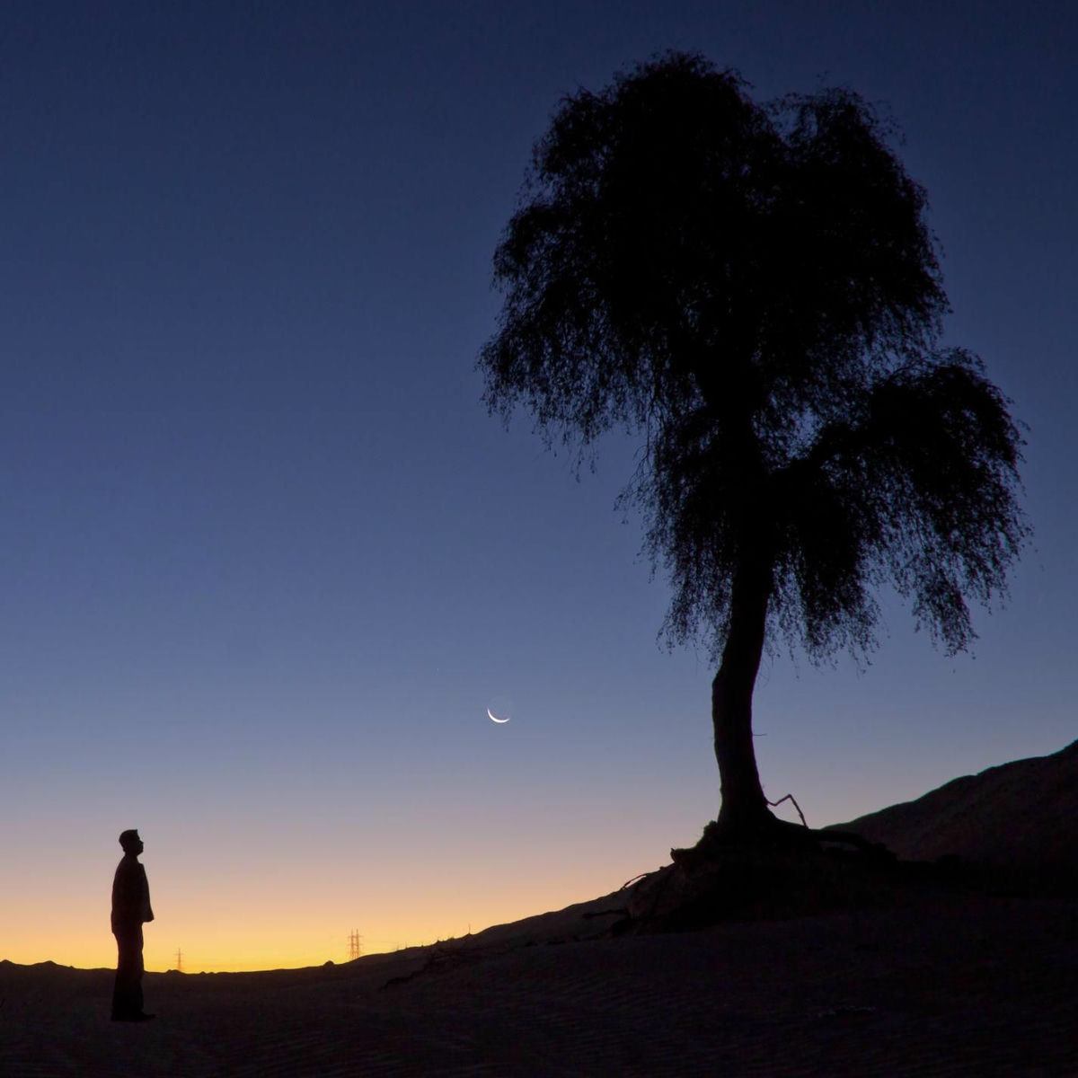 Album cover of Mémo