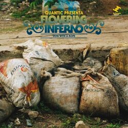 Cover of Dog With a Rope
