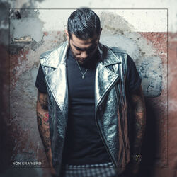 Cover of Non era vero