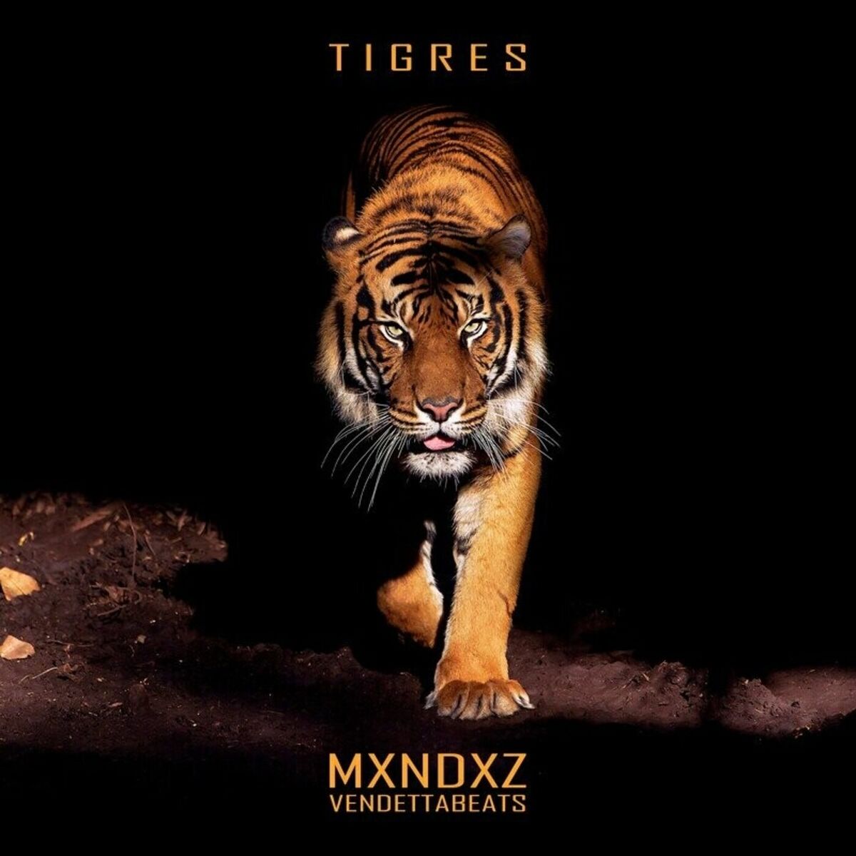 Album cover of TIGRES