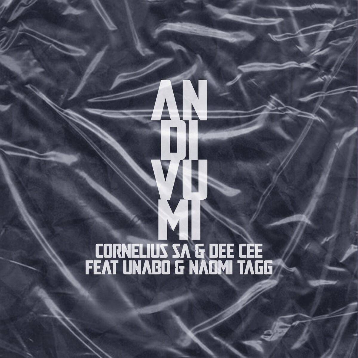 Album cover of Andivumi (feat. Unabo and Naomi Tagg)