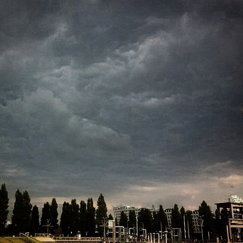 Picture of Under the Dutch Sky