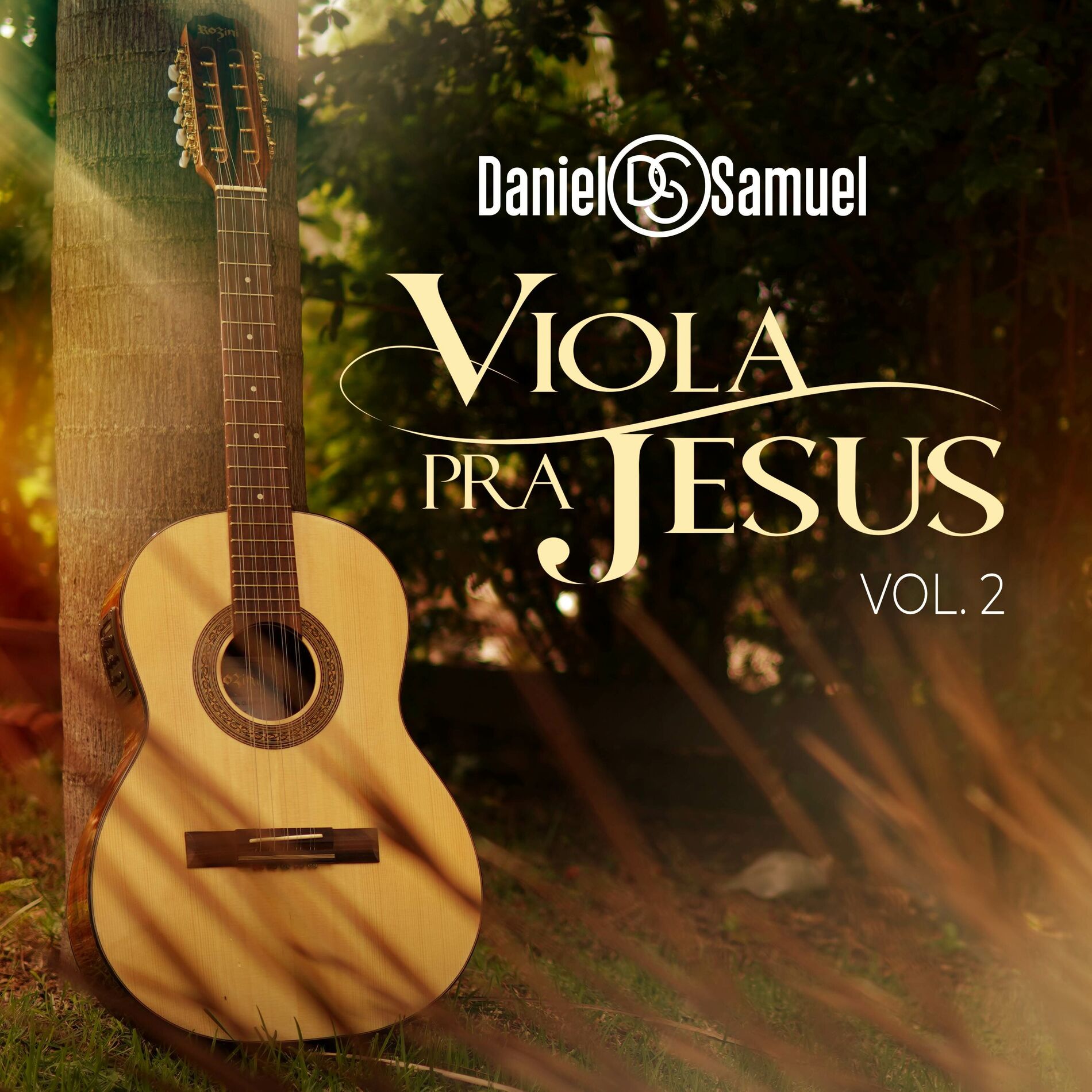 Album cover of Viola Pra Jesus, Vol. 2