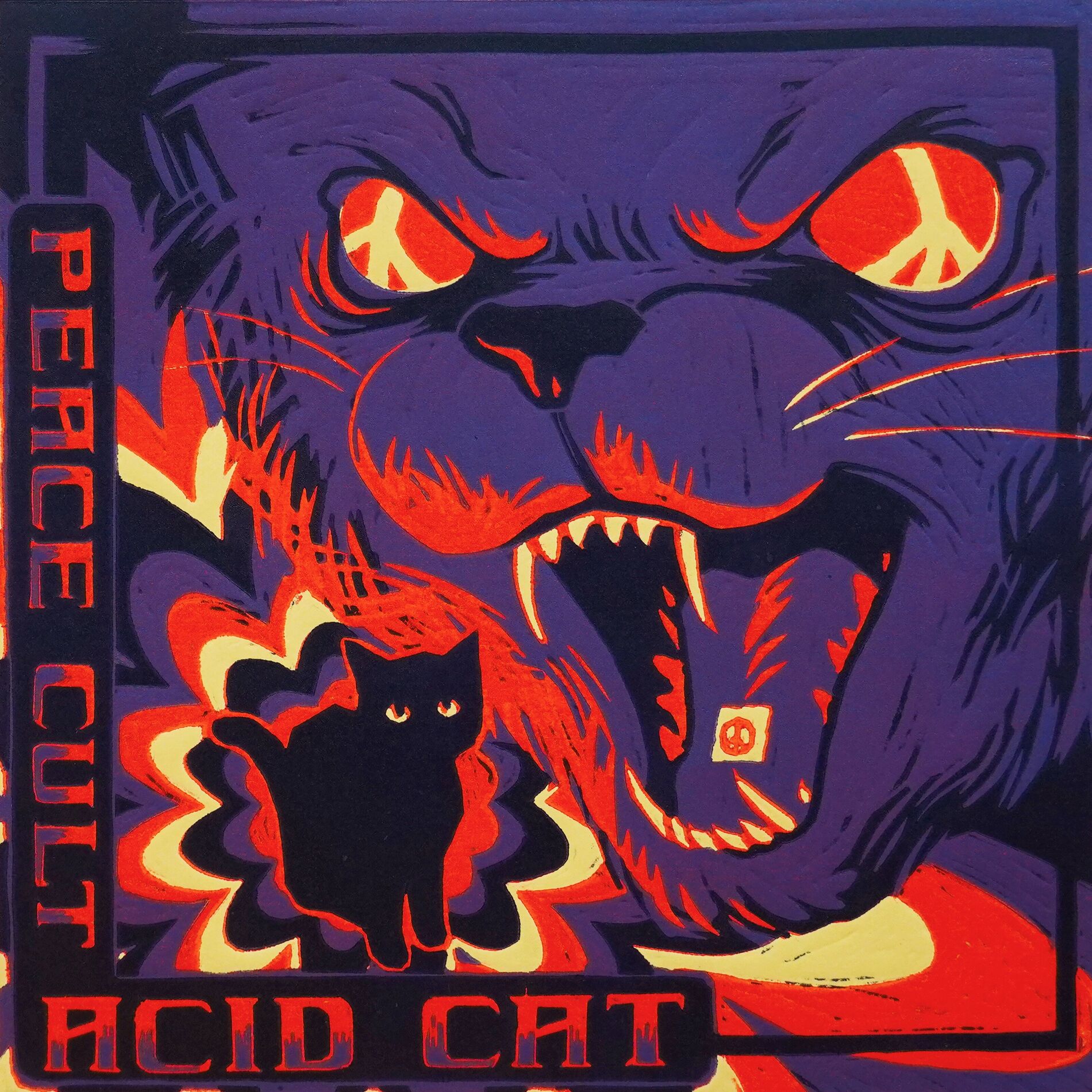 Album cover of Acid Cat