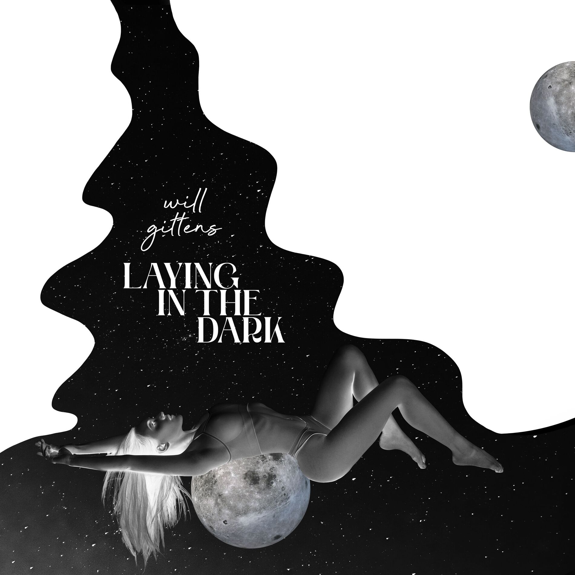 Album cover of Laying In The Dark