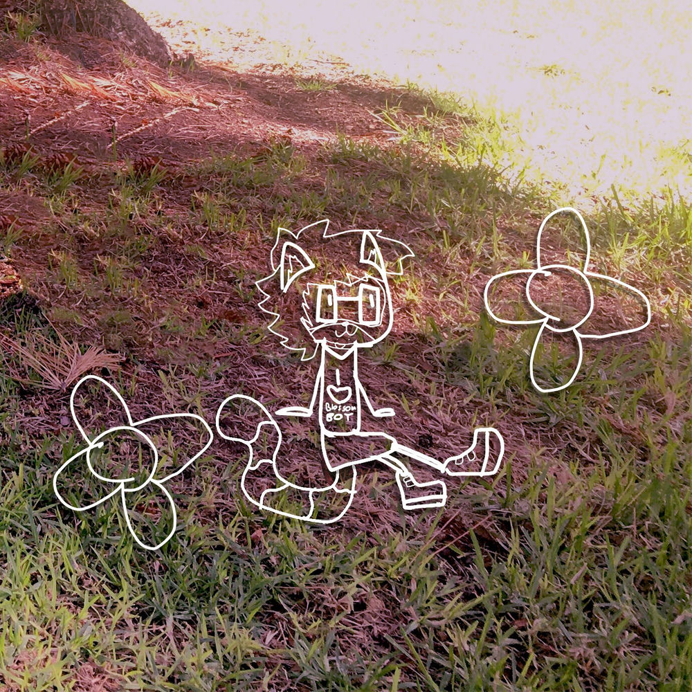 Album artwork for Blossom Boy by Nonnie