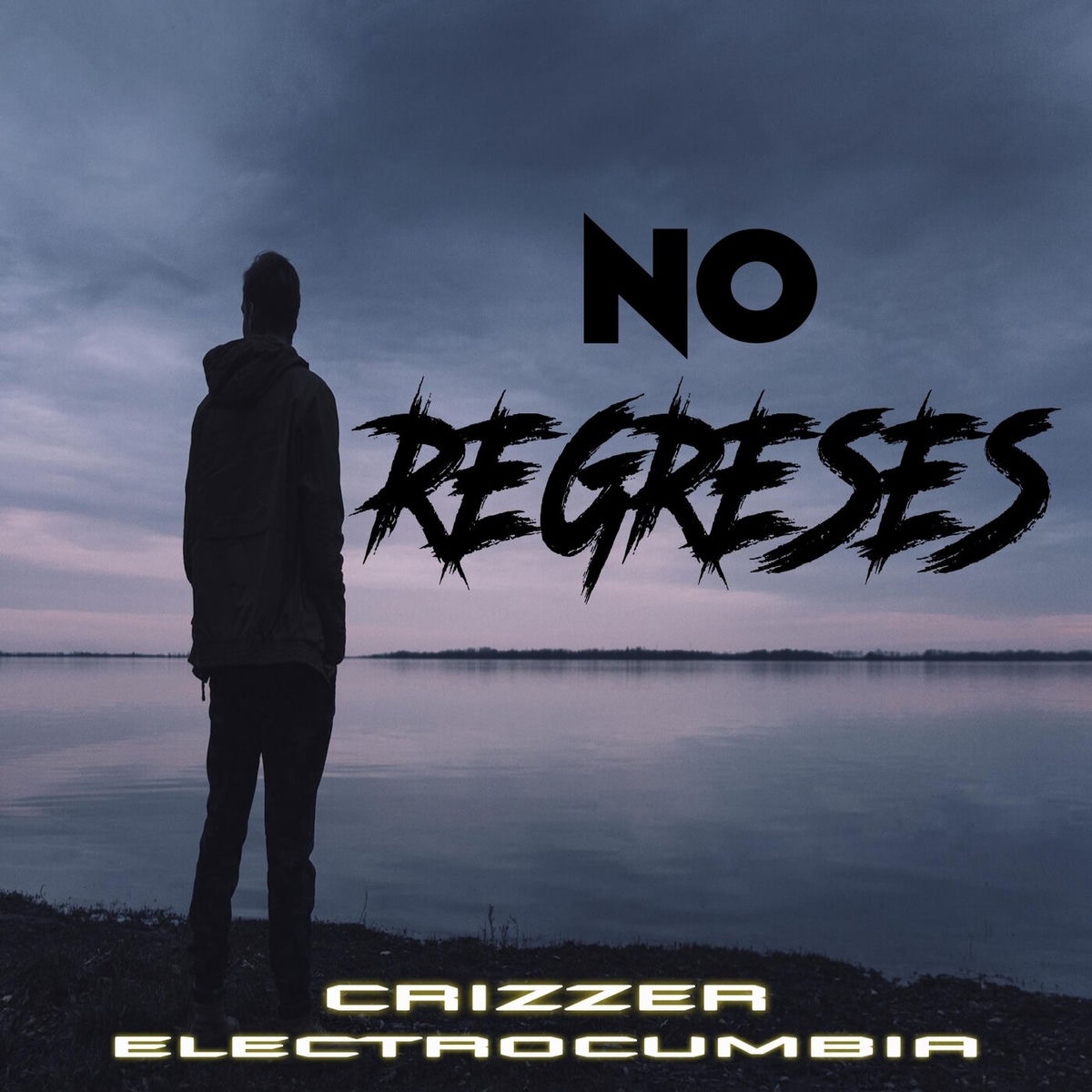 Album cover of No Regreses