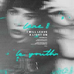 Cover of I Will Leave a Light On